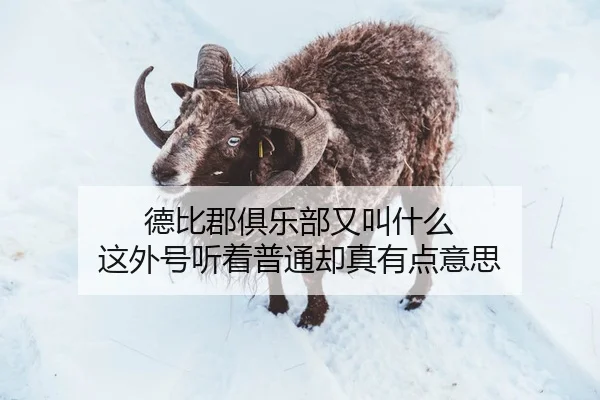德比郡俱乐部又叫什么 这外号听着普通却真有点意思